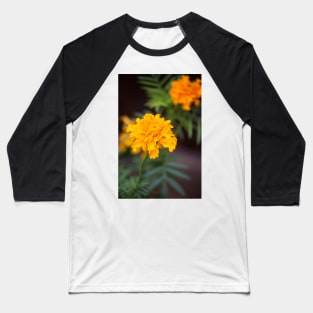 Marigold VIII Baseball T-Shirt